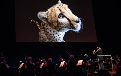 Nat Geo: Symphony for Our World Should Not Be Missed