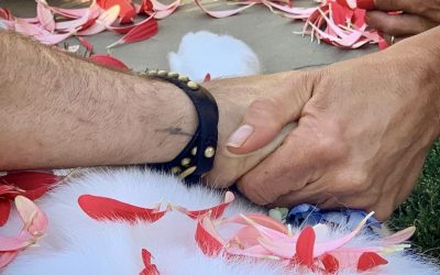 Jennifer Aniston and Justin Theroux Reunite to Say Farewell to Beloved Dog