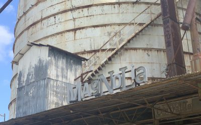 Everything Magnolia Market and 5 + More Reasons to Visit Waco