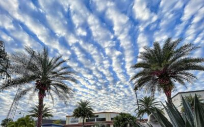 Here Are Just a Few of Our Favorite Things to Do, See, Eat in Orlando