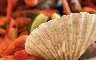 Where To Have The Best Seafood Dinner Experience in Oslo