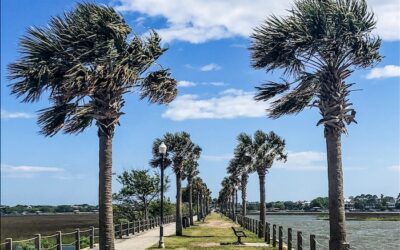 Favorite Filming Locations in Charleston, SC