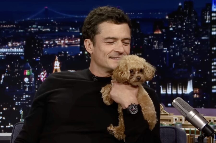 orlando-bloom-dog-steals-the-spotlight-on-press-tour