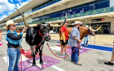 Here’s Why F1 Fans Should Never Miss Lone Star Le Mans